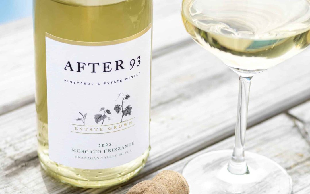 Welcome to After 93: Our Journey begins