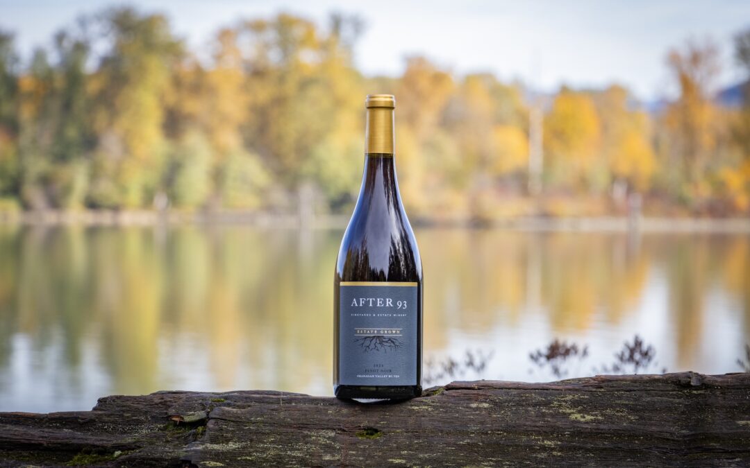 Introducing Pinot Noir 2023 — A New Chapter Begins Into Red Wines