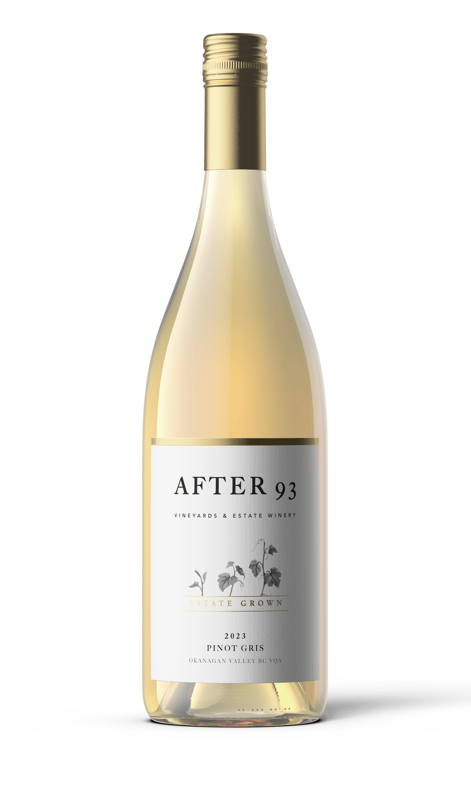 After 93 Pinot Gris 2023