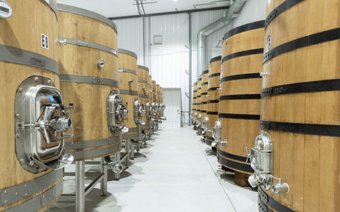 From Vineyard to Cellar: Where the 2026 Vintage Takes Shape