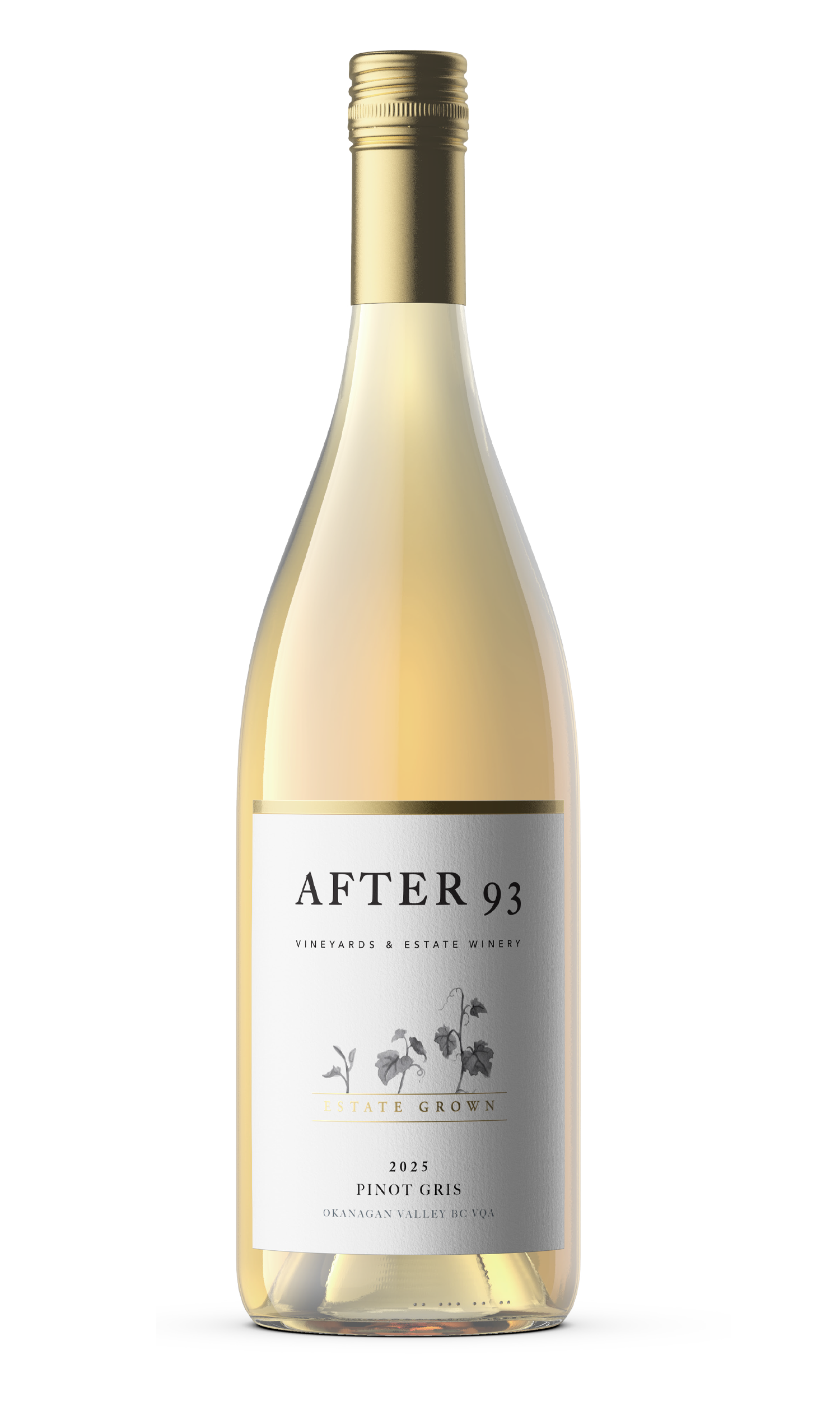 Pinot Gris 2025 from After 93 Winery